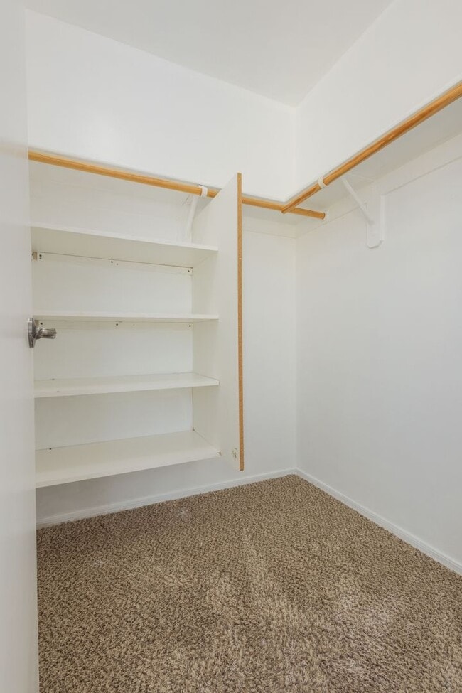 Building Photo - 4 Bedroom 3 Bathroom