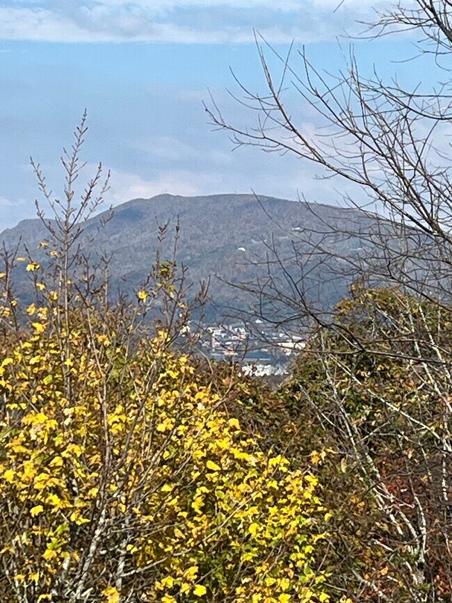 Building Photo - 630 Sorrento Dr