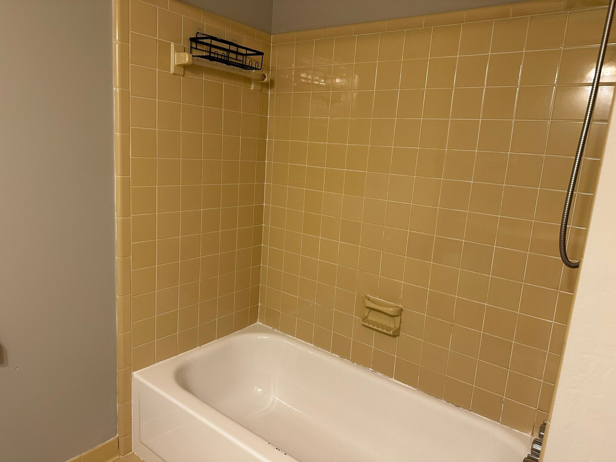 Building Photo - 2544 Coachman Ct