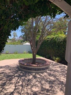 bucolic yard - 4322 Elmer Ave