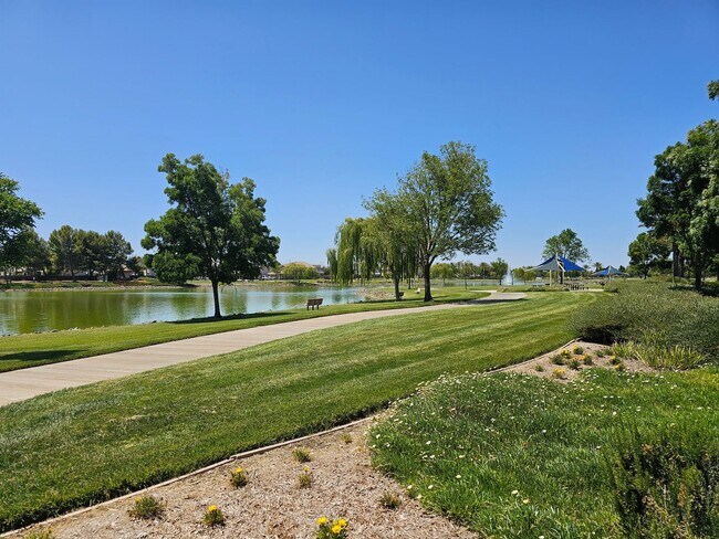 Building Photo - DREAMY 5 Bed/4 Bath OASIS - Discovery Bay