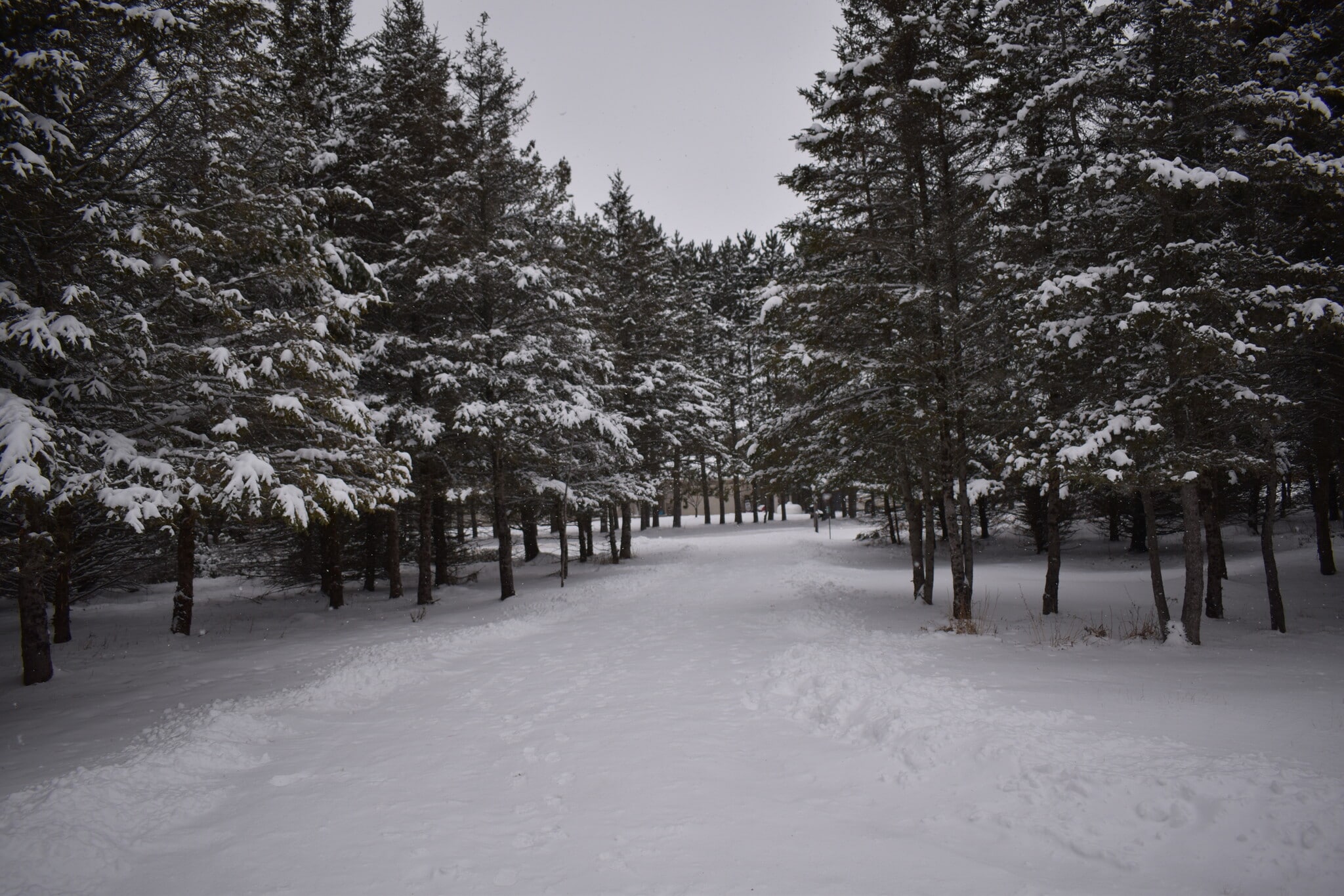 Building Photo - 6587 Rolling Hills Dr