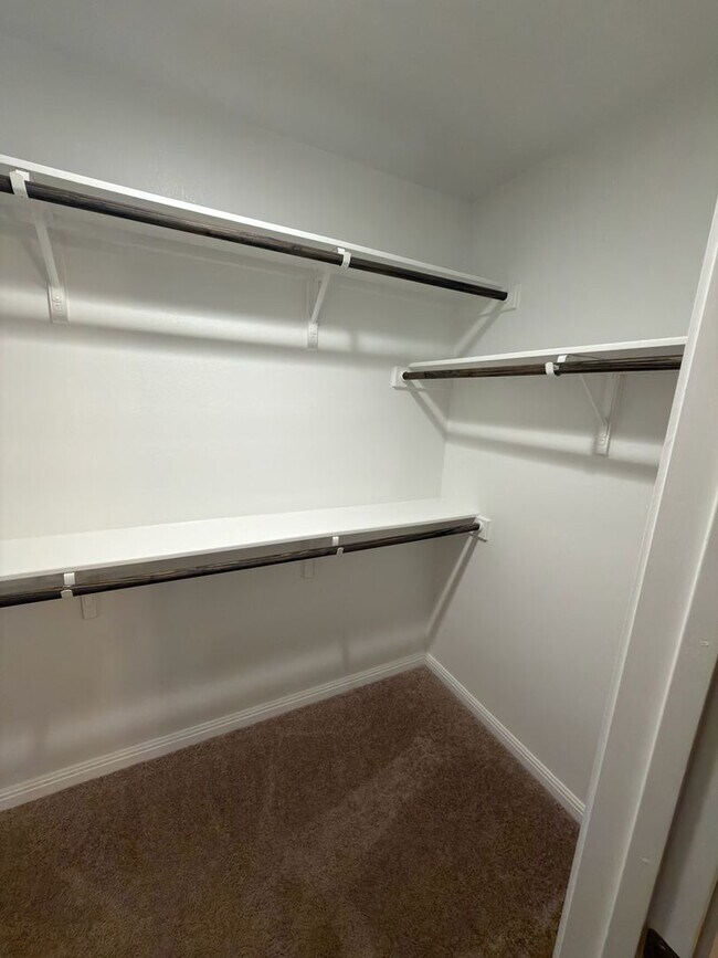 Building Photo - Arabian Colt