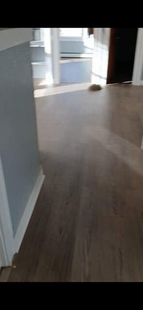 Building Photo - 42 Erwin Pl