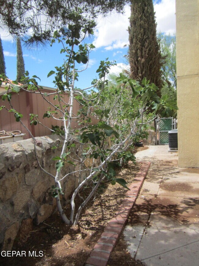 Building Photo - 6924 Imperial Ridge Dr