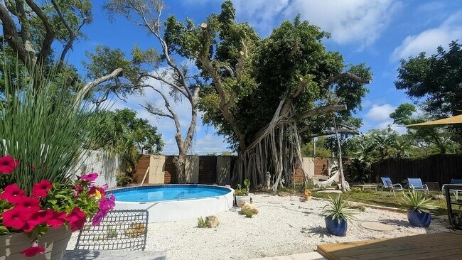 Building Photo - 3579 Plantation Dr