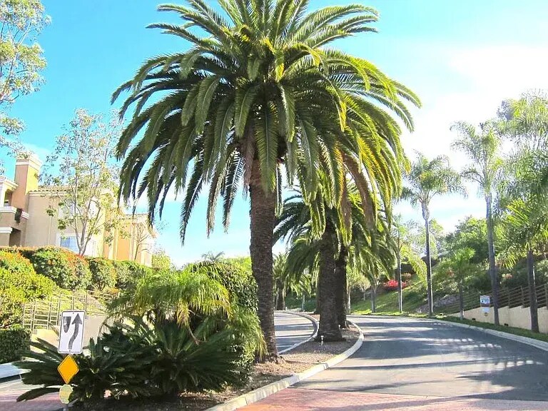 Complex Entrance - 6971 Ballena Way