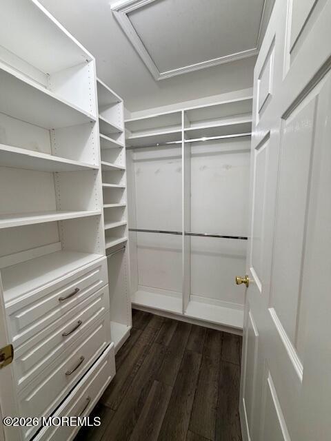 Building Photo - 146 Heron Ct