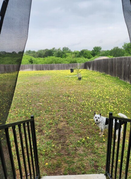 Large, spacious back yard for entertaining or great space for pets to play. - 13306 Mussel Run