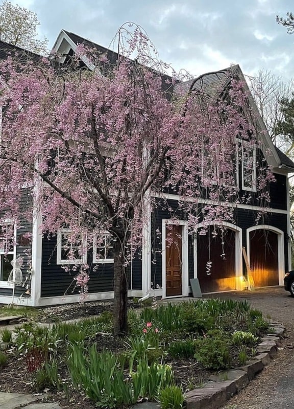 Building Photo - 195 N Prospect St