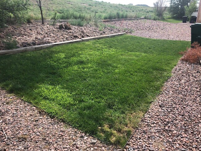 Building Photo - Nichols 1266-1268