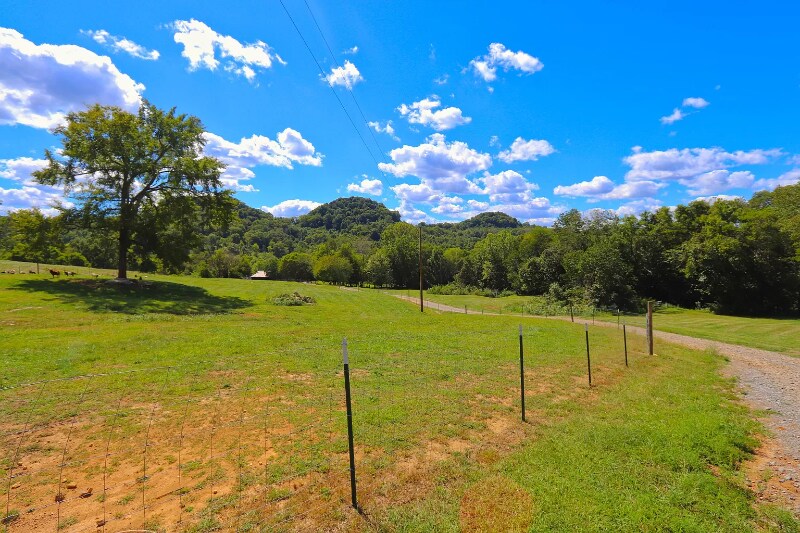 Building Photo - 333 Little Salt Lick Rd