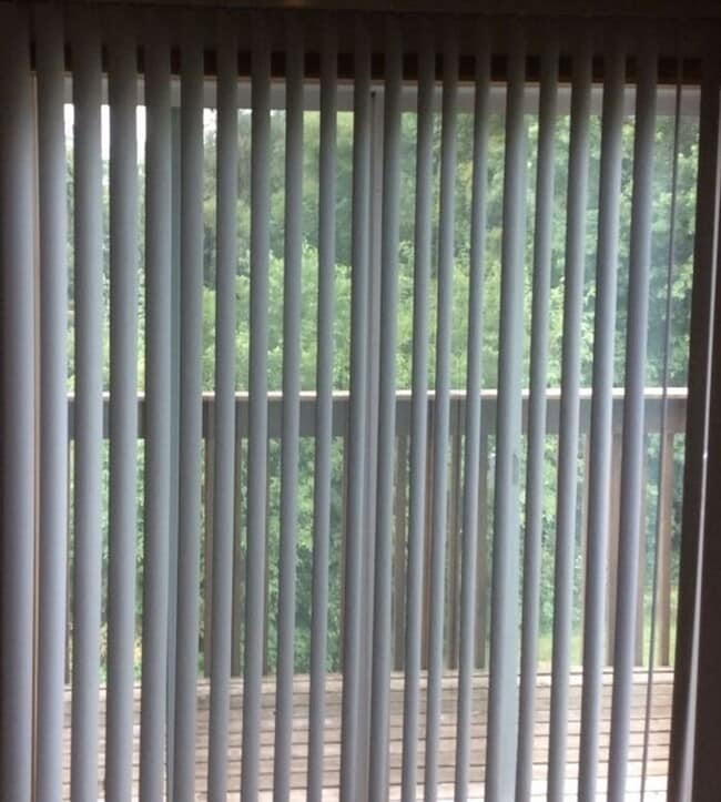 Building Photo - $900 | 1 Bedroom, 1 Bathroom Condo | Cat Friendly* | Available for Immediate Move In!