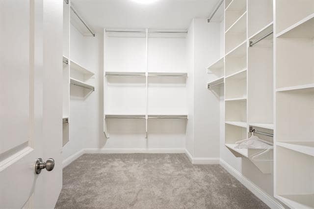 Building Photo - 4529 Tall Knight Ln