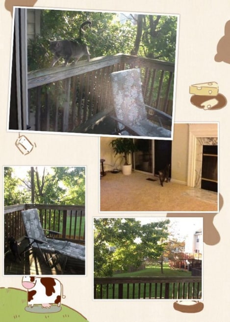 Building Photo - 7820 Greenbrook Dr