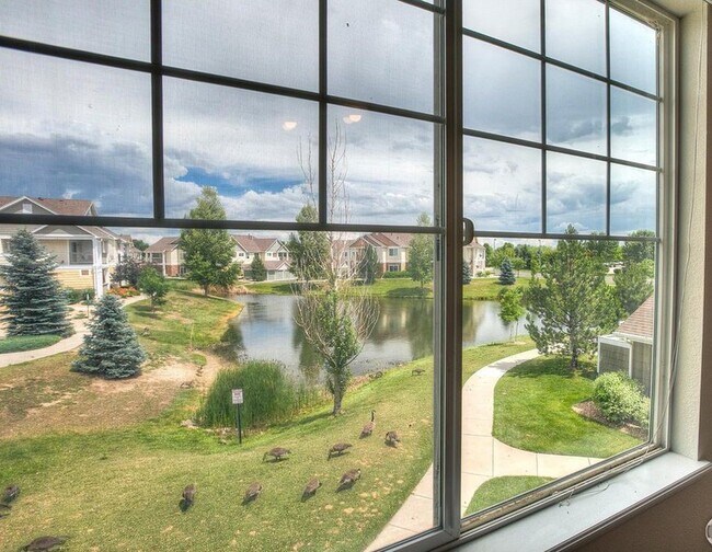 view from dining area - 4815 Hahns Peak Dr