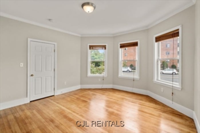 Building Photo - 798 Mt Auburn St