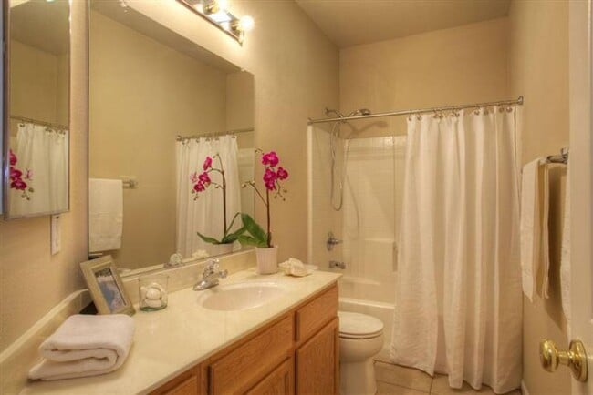 Building Photo - Beautiful Home in Natomas Park