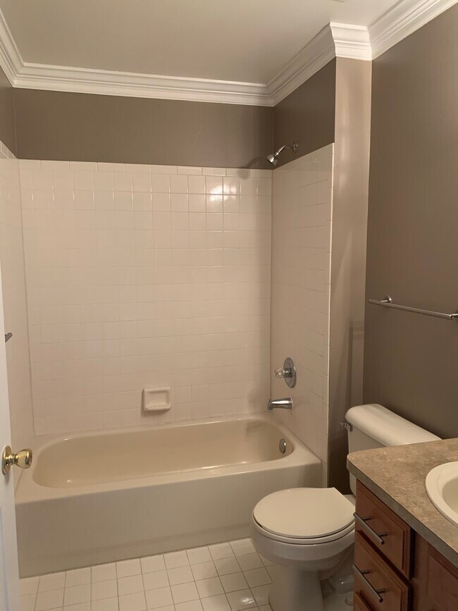 Second bathroom with tub and shower - 51870 Adler Park Dr E