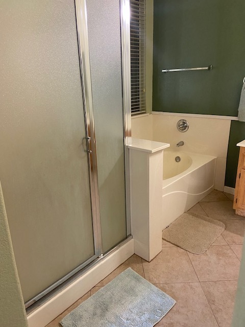 walk in shower & tub - 8113 Laguna Brook Way