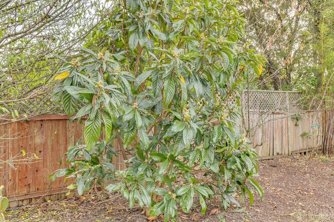 Building Photo - 158 Sierra Pl