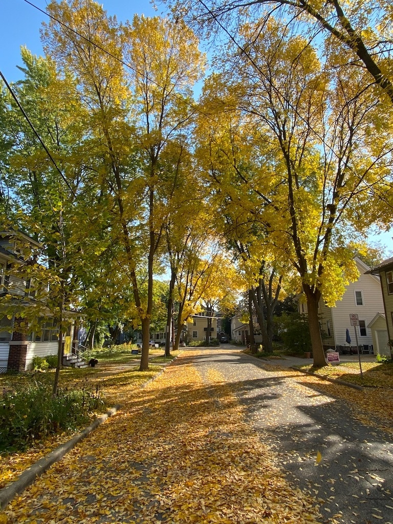 Building Photo - 2818 Sommers Ave