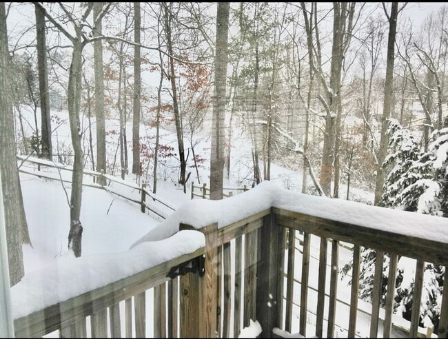 Building Photo - 3 Bedroom 1.5 bath house close to West Asheville, Great location!