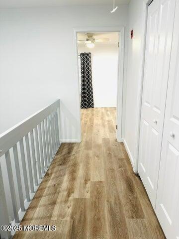 Building Photo - 16 Gerard Pl