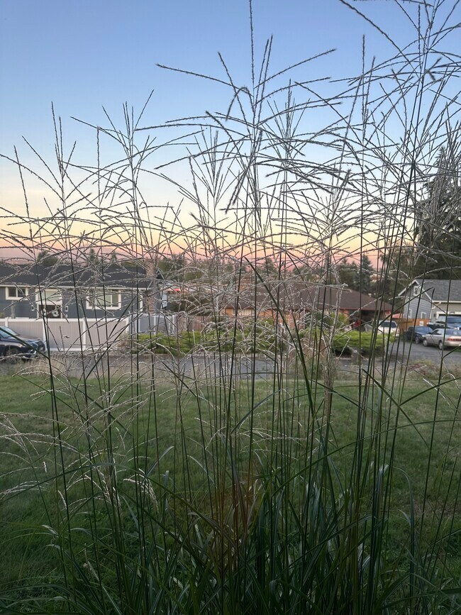 Building Photo - 5008 Sperry Ln