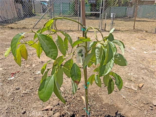 Building Photo - 810 Pine St