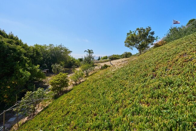 Building Photo - Aqua Vista - Entertainers Playhouse