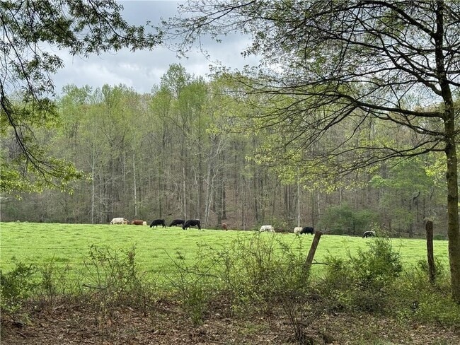 Building Photo - 1727 Oak Grove Church Rd