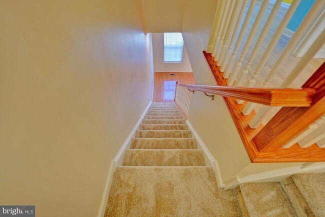 Building Photo - 536 Van Dyke Cir