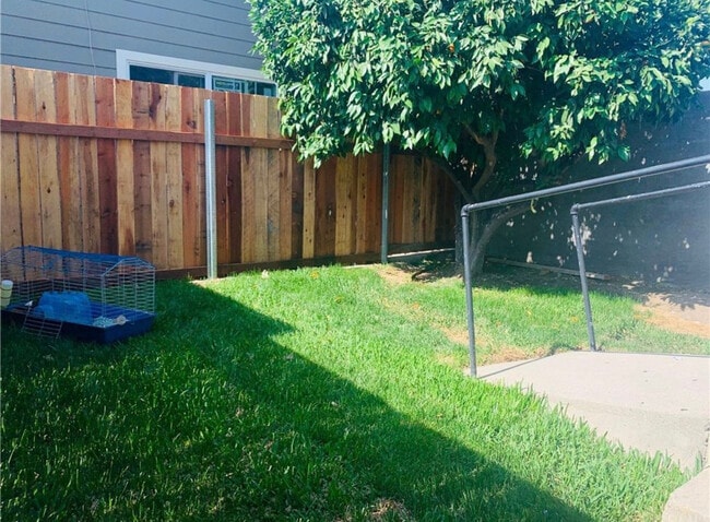 Backyard - 315 E Olive Ave