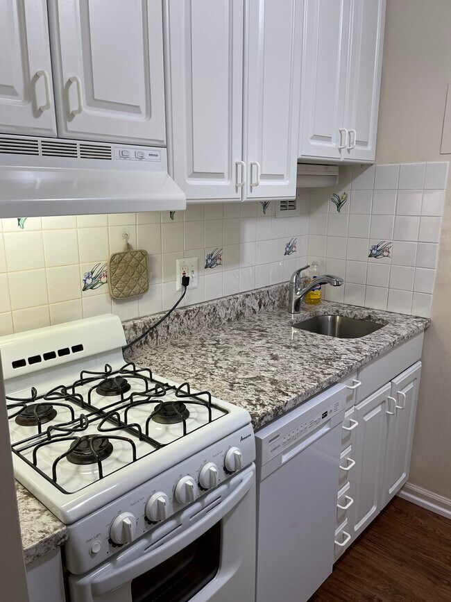 Kitchen - 1121 Arlington Blvd