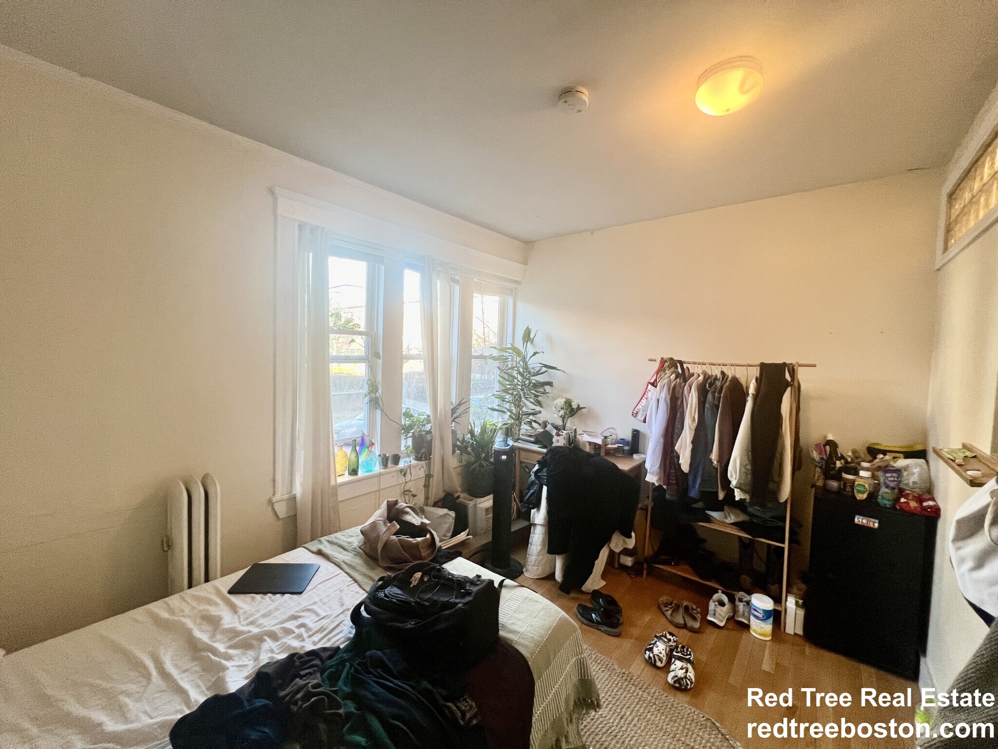 Building Photo - 62 Egmont