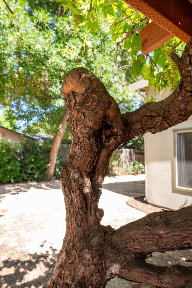 Building Photo - Move-In Ready 3BR/2BA Near UC Davis, Pets Welcome