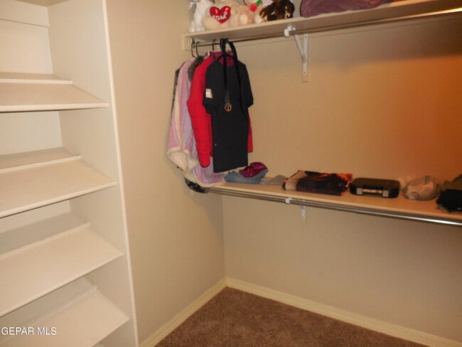 Building Photo - 3143 Red Maple