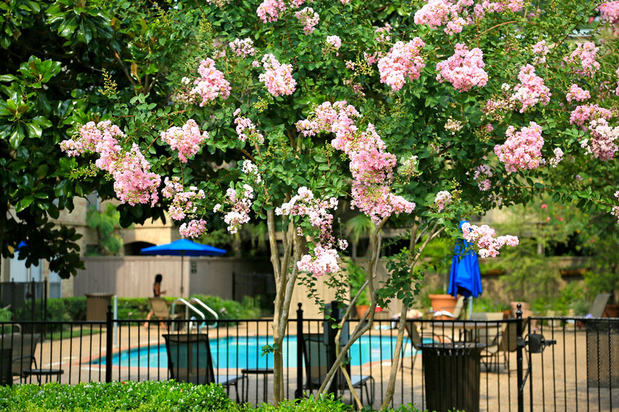 Relax in one of our 3 resort style pools. - Towne Plaza