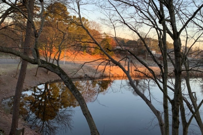 Water View of the Pond from balcony - 231 Canal Park Dr