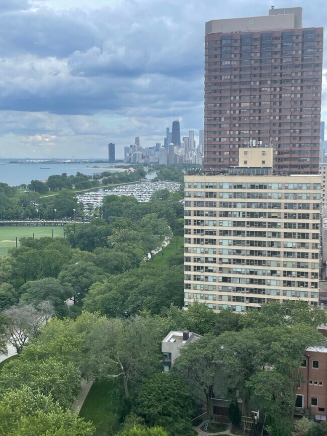 Building Photo - 3100 N Lake Shore Dr