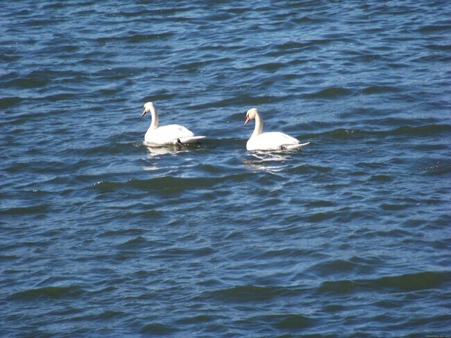 Building Photo - 764 Quinnipiac Ave