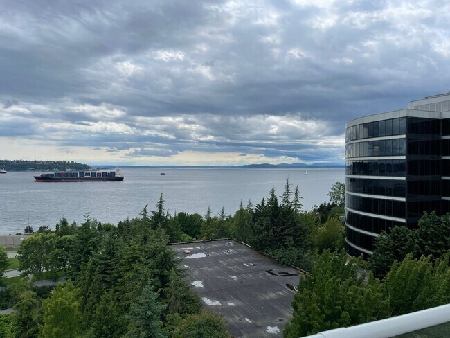 Building Photo - 1Bd/1Ba Seattle Condo