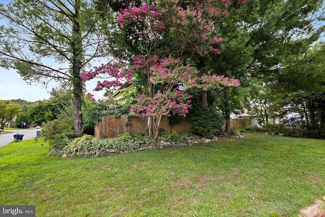 Building Photo - 511 Avondale Dr