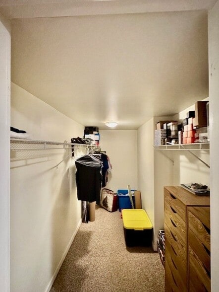 Basement Bedroom Walk-in Closet 1 - 512 W 12 Mile Rd