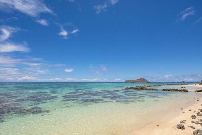 Building Photo - Casual Beach Front 3 Bedroom, 2 Bath Home ...