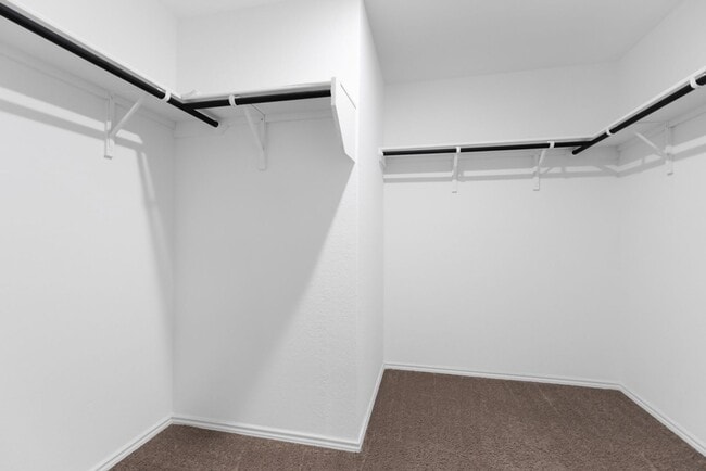 Building Photo - 9126 Selene Pl