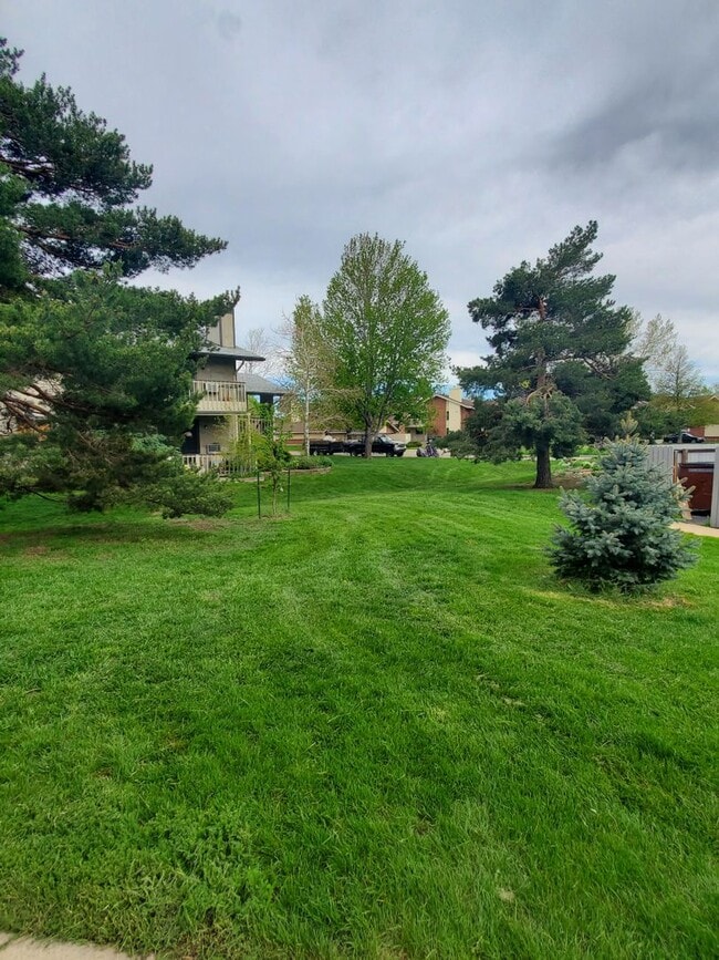 Building Photo - Recently Updated and Spacious 1B / 1B Available for June!