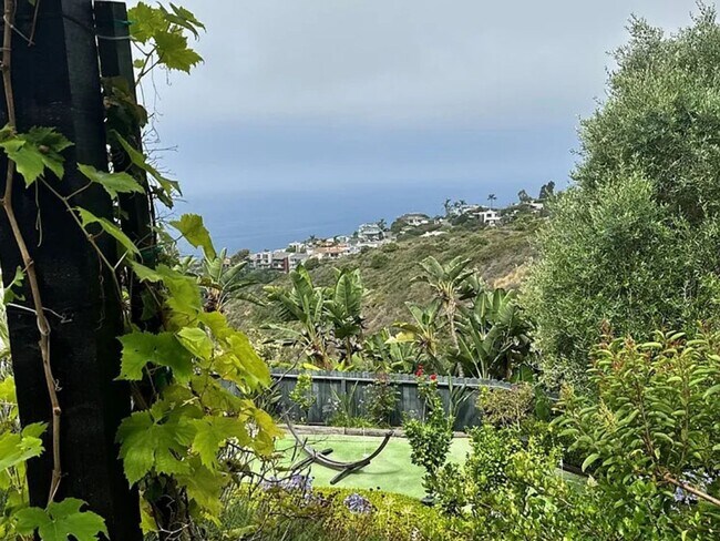 Building Photo - Azari PM-Juccuzi- half acre luxurious landscape-fully chic furniture -  massive lot , 18 fruit tr...