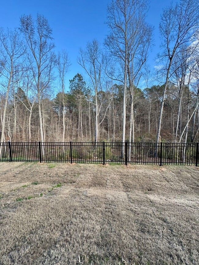 Building Photo - New Construction Home with 3BR/2.5BA Two C...